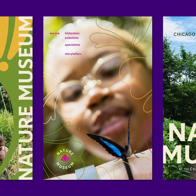25B-02c_Nature Museum Brand Identity_Nick Adam/Cheryl Kao