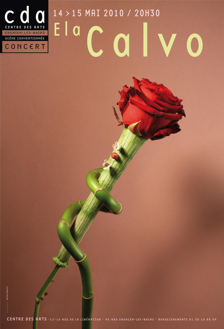 A twisted green stem adorned with a red rose, set against a muted brown background, conveying elegance and nature's beauty.