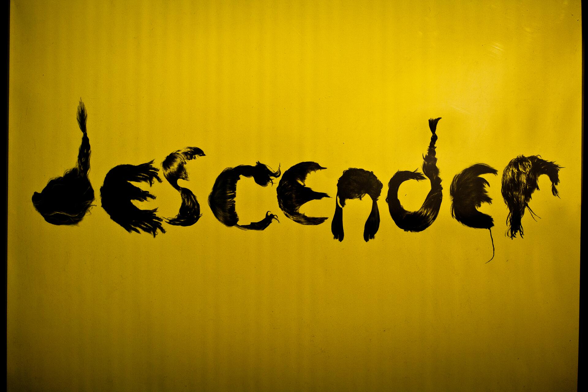 The word "descender" formed with strands of hair on a golden yellow background.