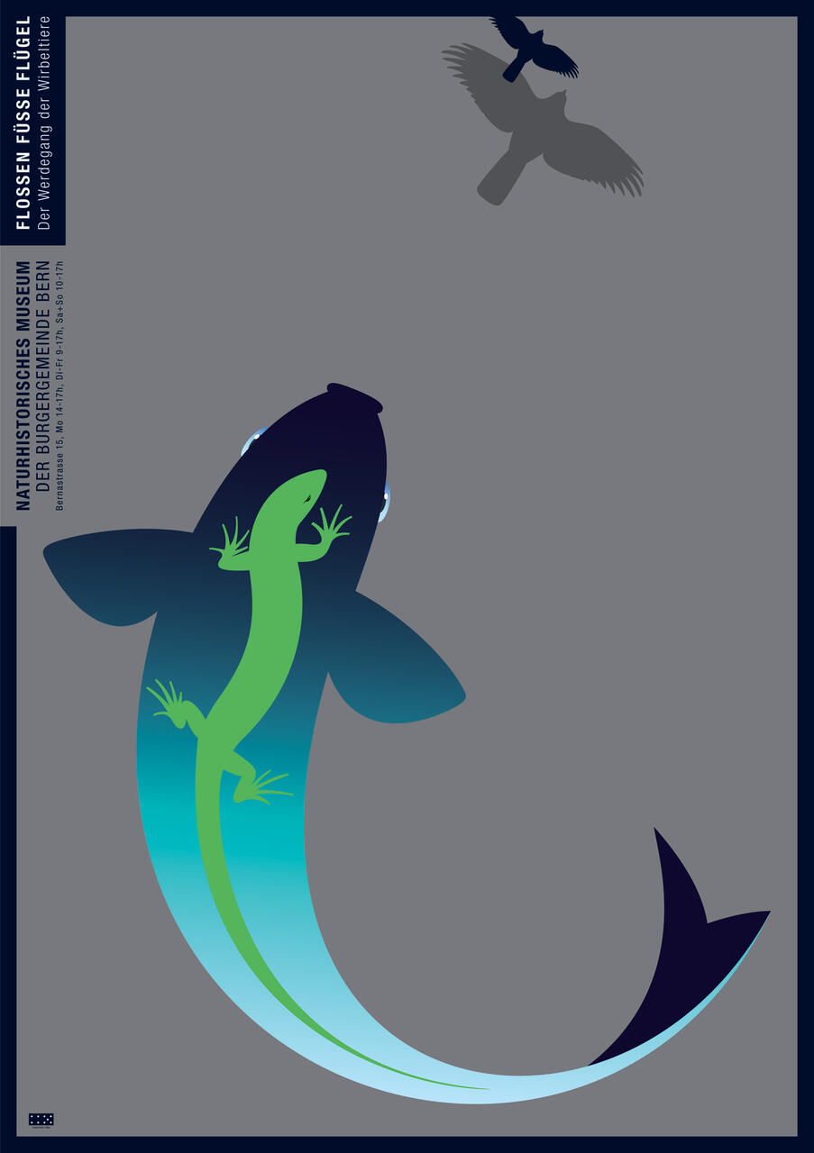 Stylized graphic featuring a large fish-like creature with a green lizard overlaid on its body, transitioning into a blue gradient tail. A silhouette of a bird flies above against a gray background.