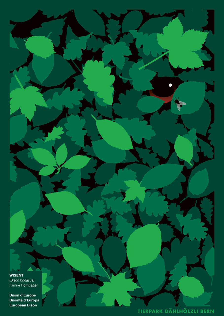 Illustrated dense green foliage covering the frame with a small insect and one partially visible animal eye peeking through the leaves.