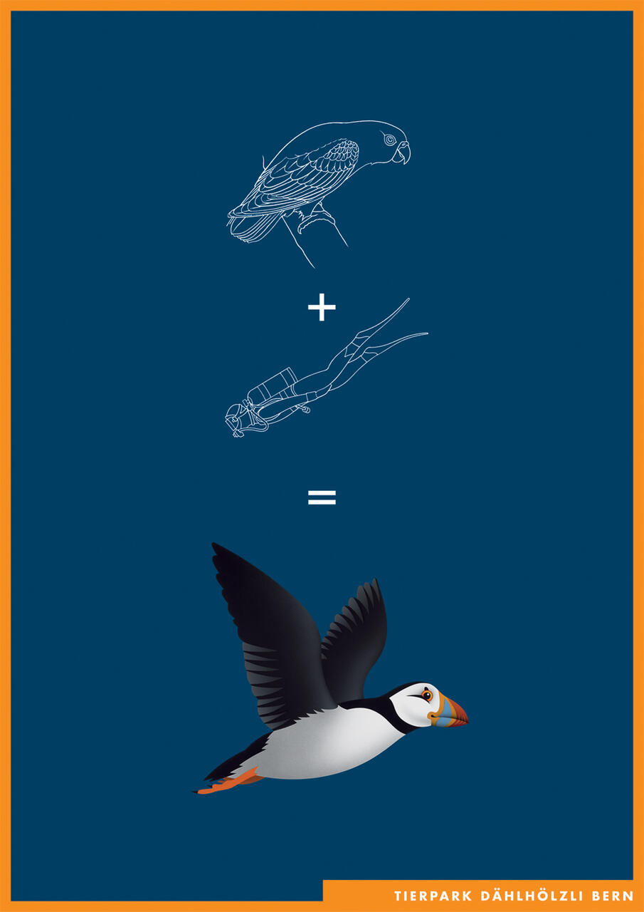 A line drawing of a bird plus a scuba diver equals an illustration of a puffin in flight on a blue background with an orange border.
