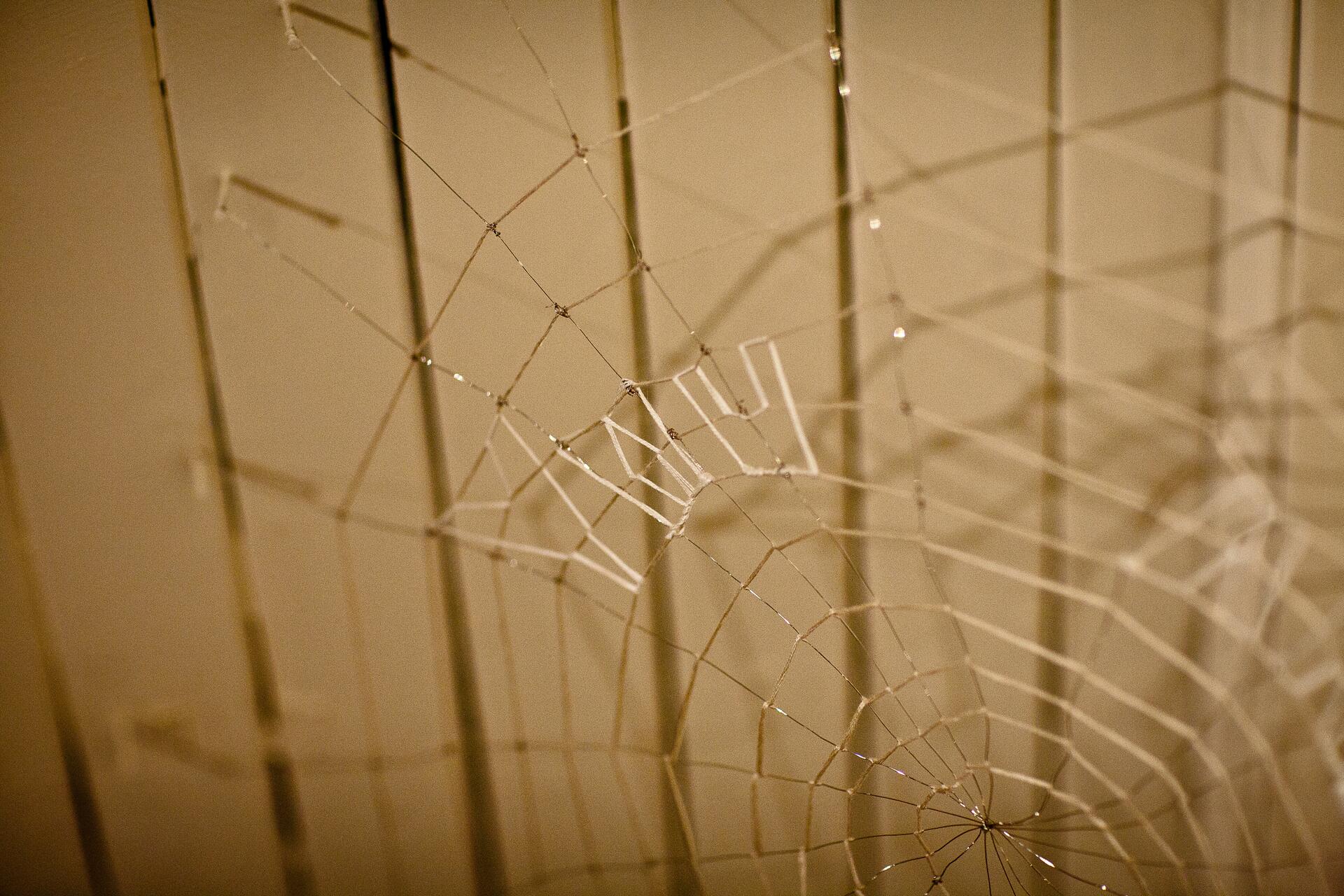 A delicate spider web with dewdrops, casting shadows on a beige background.