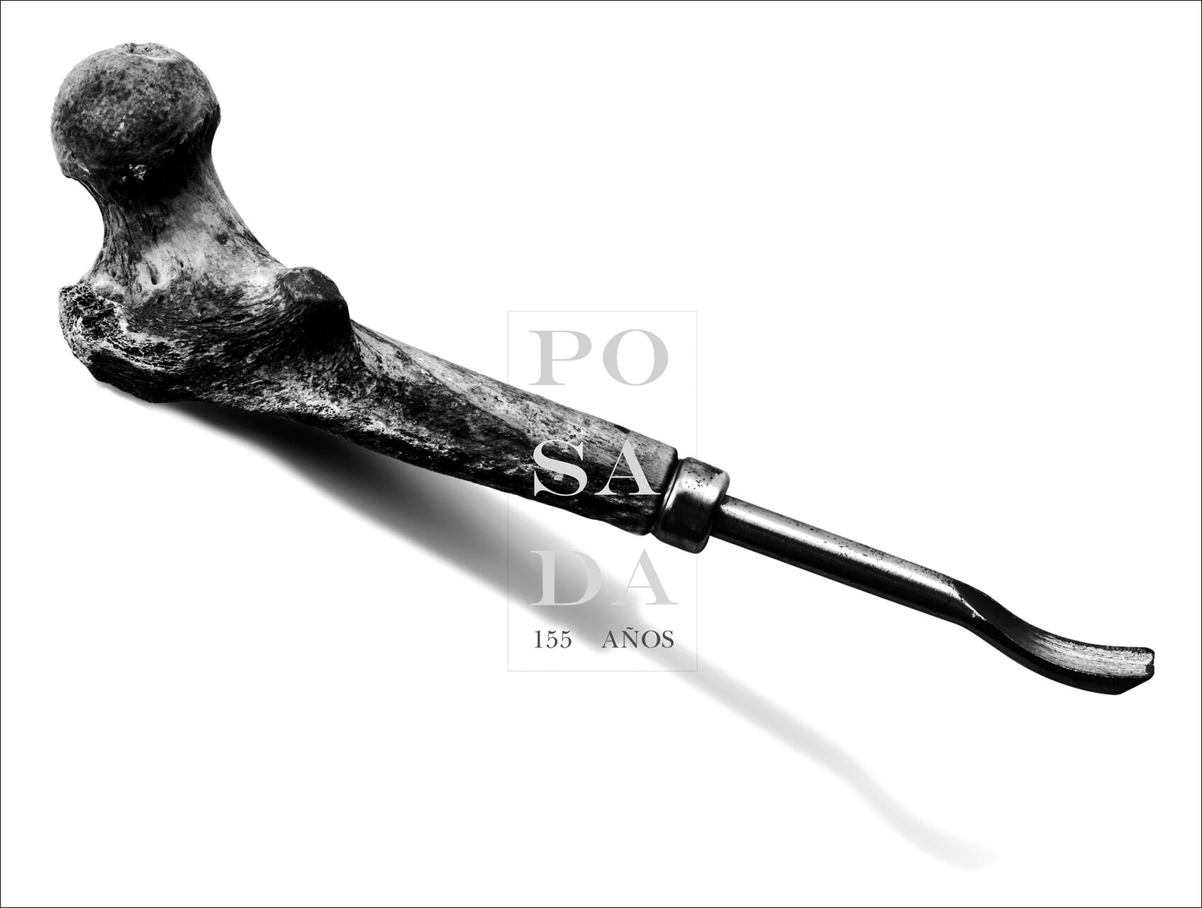 A black and white photograph of a femur-shaped object with a metallic tool handle attached, casting a shadow on a white background.