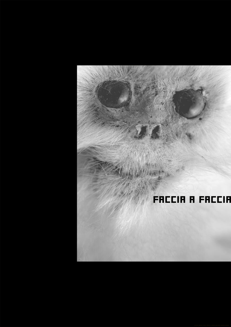 Close-up black and white photograph of a fluffy animal's face, showing large, dark eyes and a furry snout against a plain background.