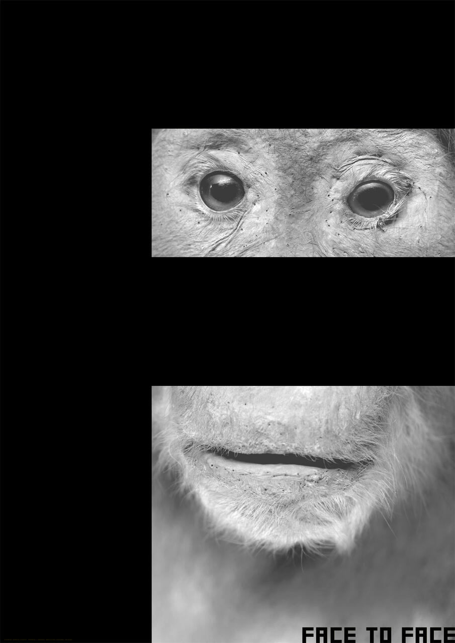 Black and white close-up photos of a monkey's eyes and mouth.