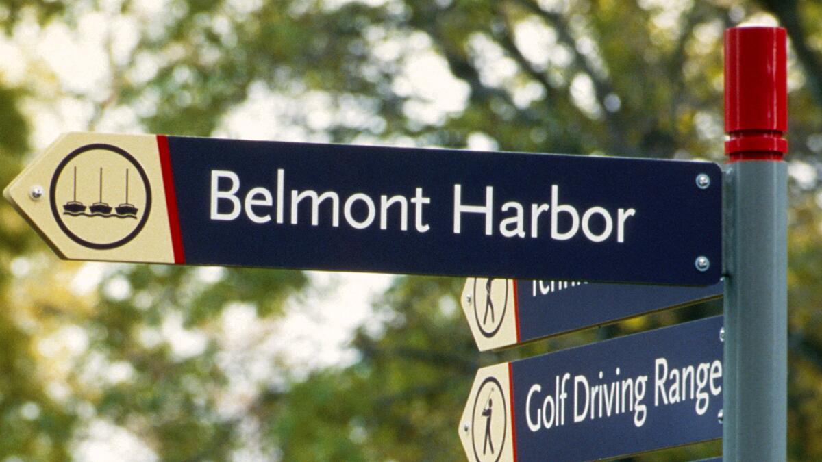 Signpost with "Belmont Harbor" pointing right, featuring icons for sailing, tennis, and golf. Blurry green trees in the background.