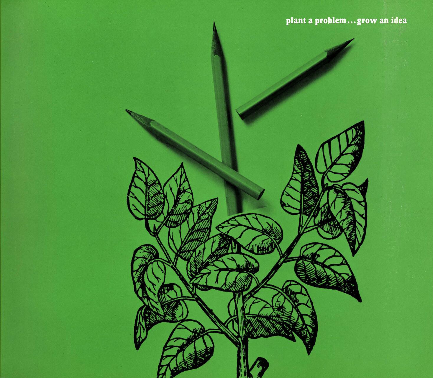Three green pencils form a triangle above a black line drawing of leaves on a green background.
