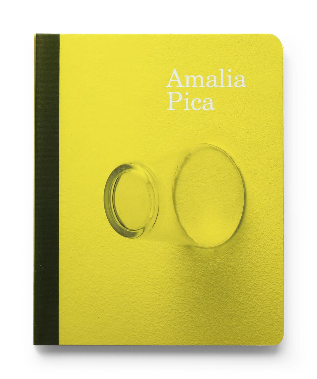 Yellow book cover with a transparent glass casting a shadow. Features an olive green spine and white text on the upper right.
