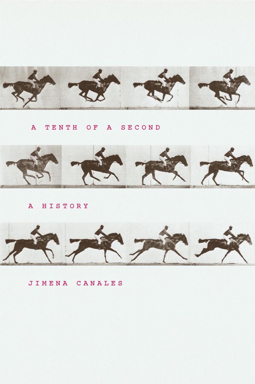 Sequential black-and-white frames of a horse and rider in motion, reminiscent of early motion picture studies.
