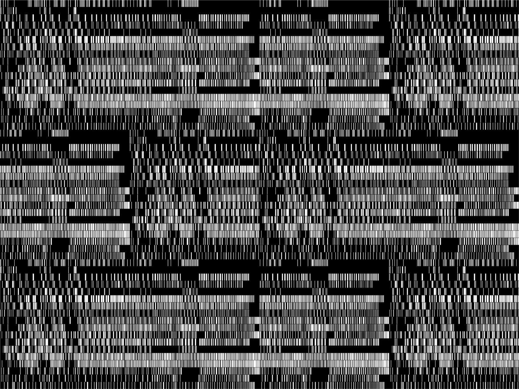 Distorted, pixelated pattern with black and white rectangular shapes in a grid-like format.