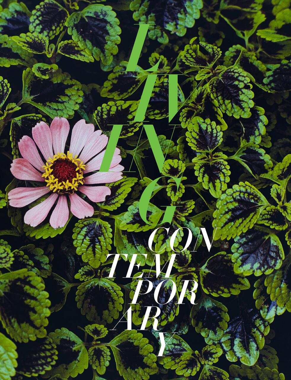 Pink flower surrounded by vibrant green leaves, with bold white and green text overlaying the foliage.