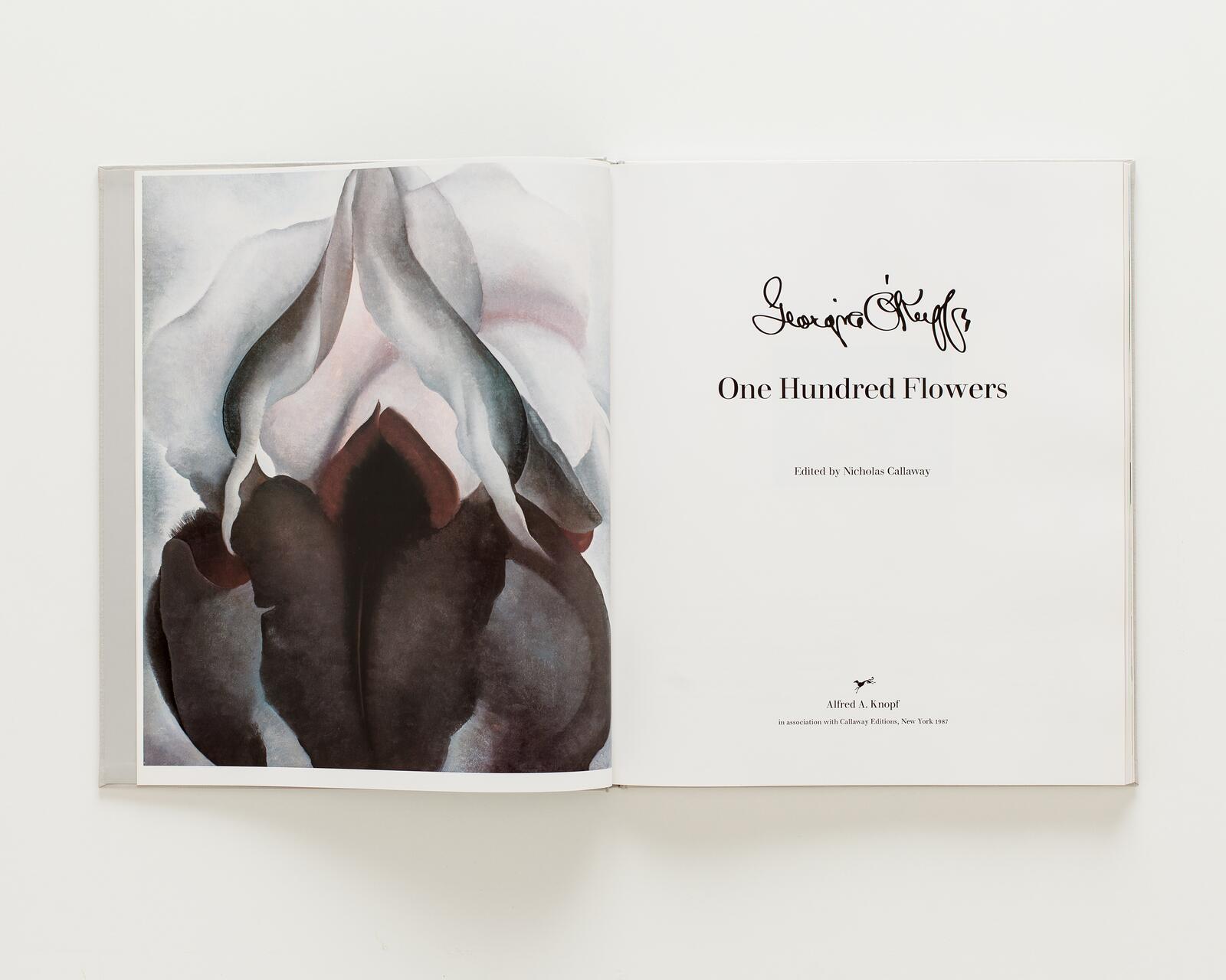 Open book displaying a painting of an abstract flower on the left and text on the right, including the name "One Hundred Flowers" in elegant script.