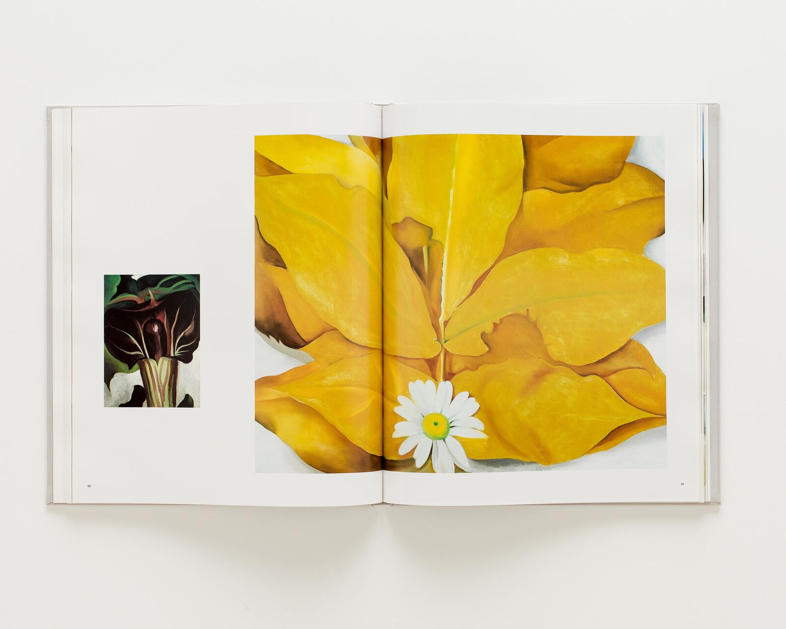 Open book displaying two paintings; one of a dark flower with green leaves on the left page and a large, vibrant yellow flower with a white daisy at its base on the right page.