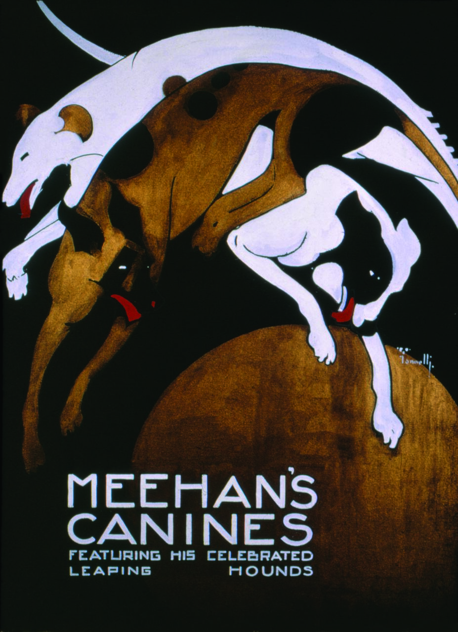 Artistic poster depicting two stylized, leaping hounds against a dark background. One is primarily white with brown spots, the other brown with smaller spots. They appear dynamic and energetic, with tongues out, jumping over a large, round shape.