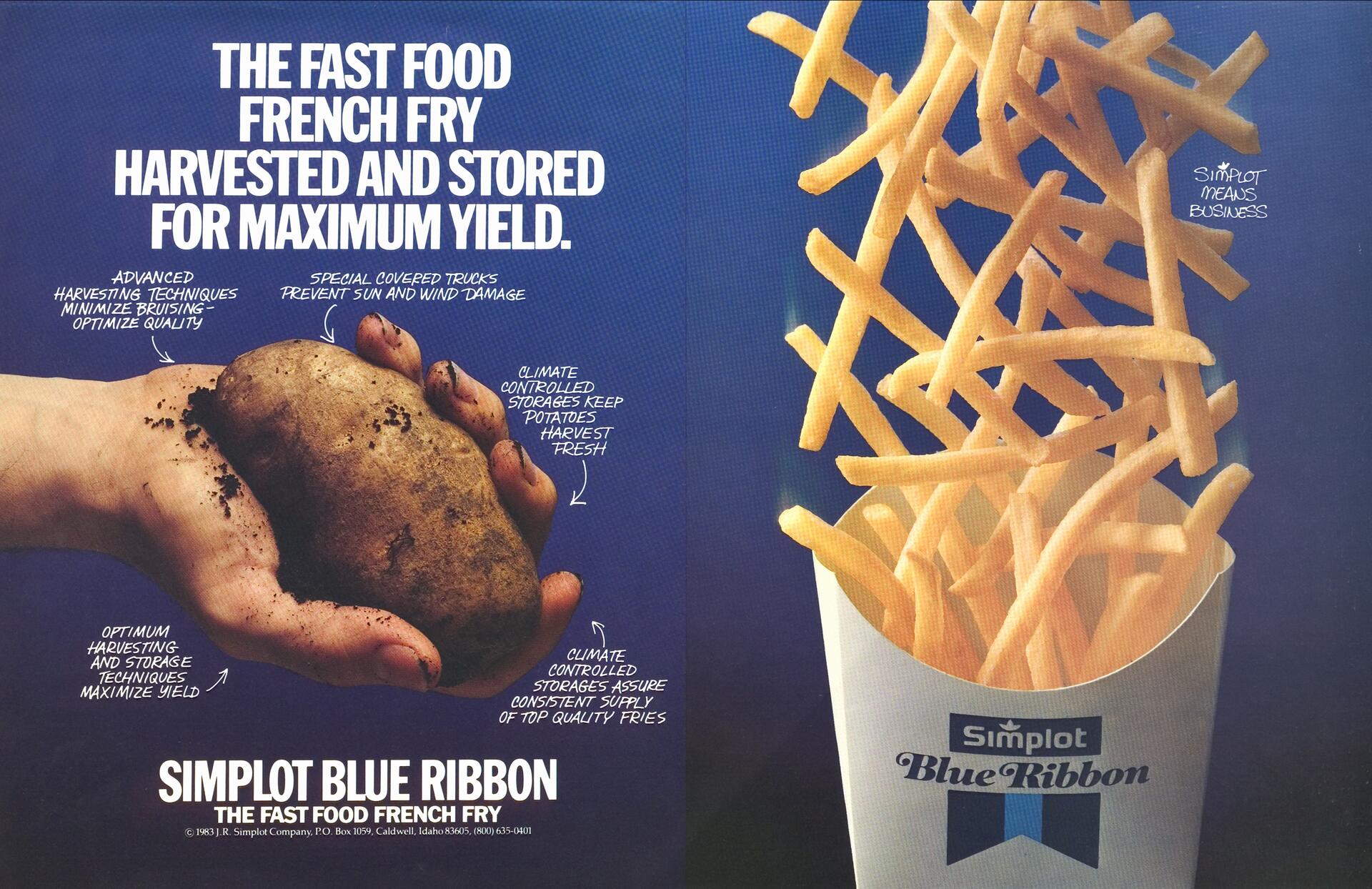 A hand holds a dirt-covered potato on the left, and golden French fries spill from a Simplot Blue Ribbon container on the right against a blue background.