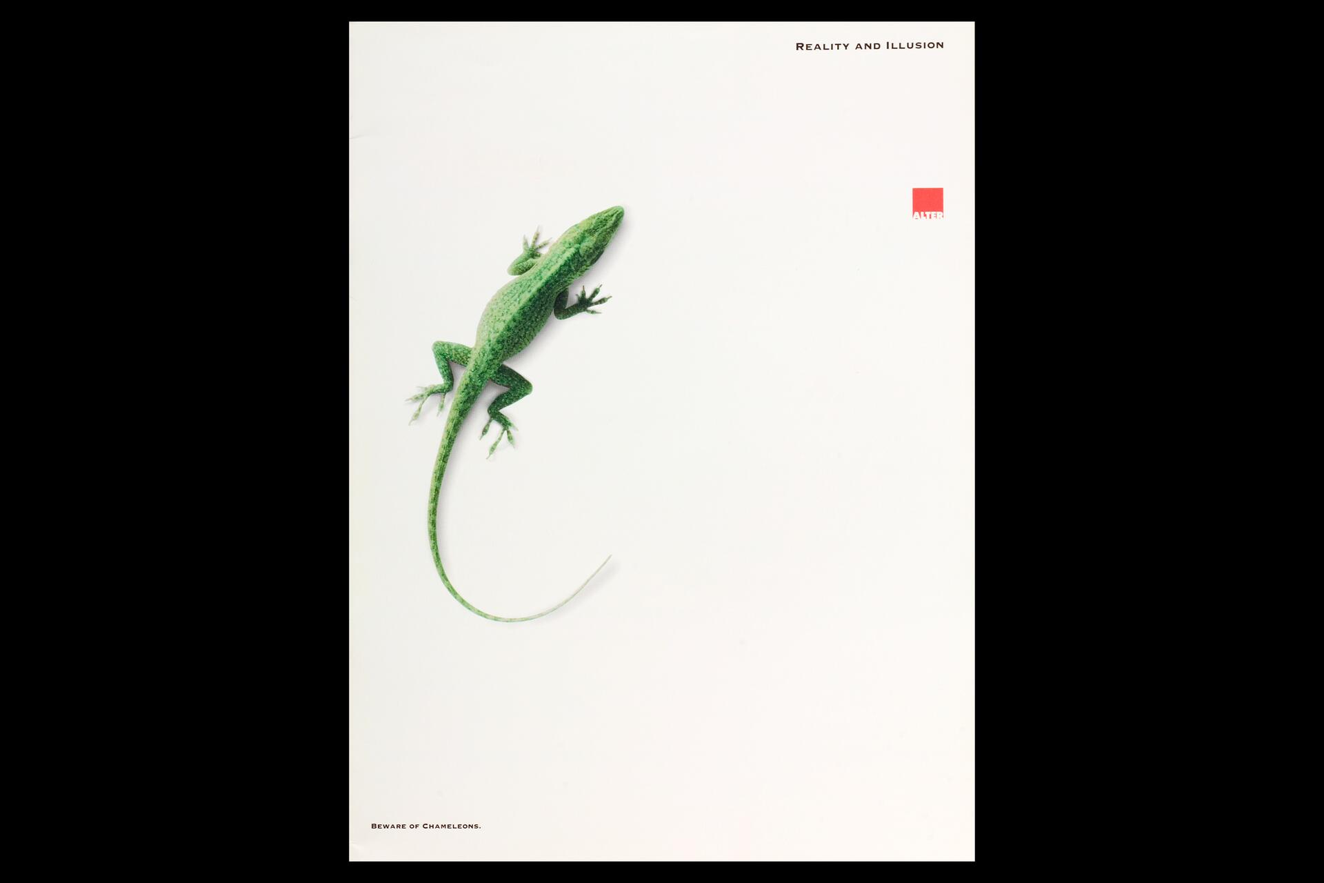 A green lizard on a plain white background, titled "Reality and Illusion" with a small logo in the top right corner. The text "Beware of Chameleons" is at the bottom.
