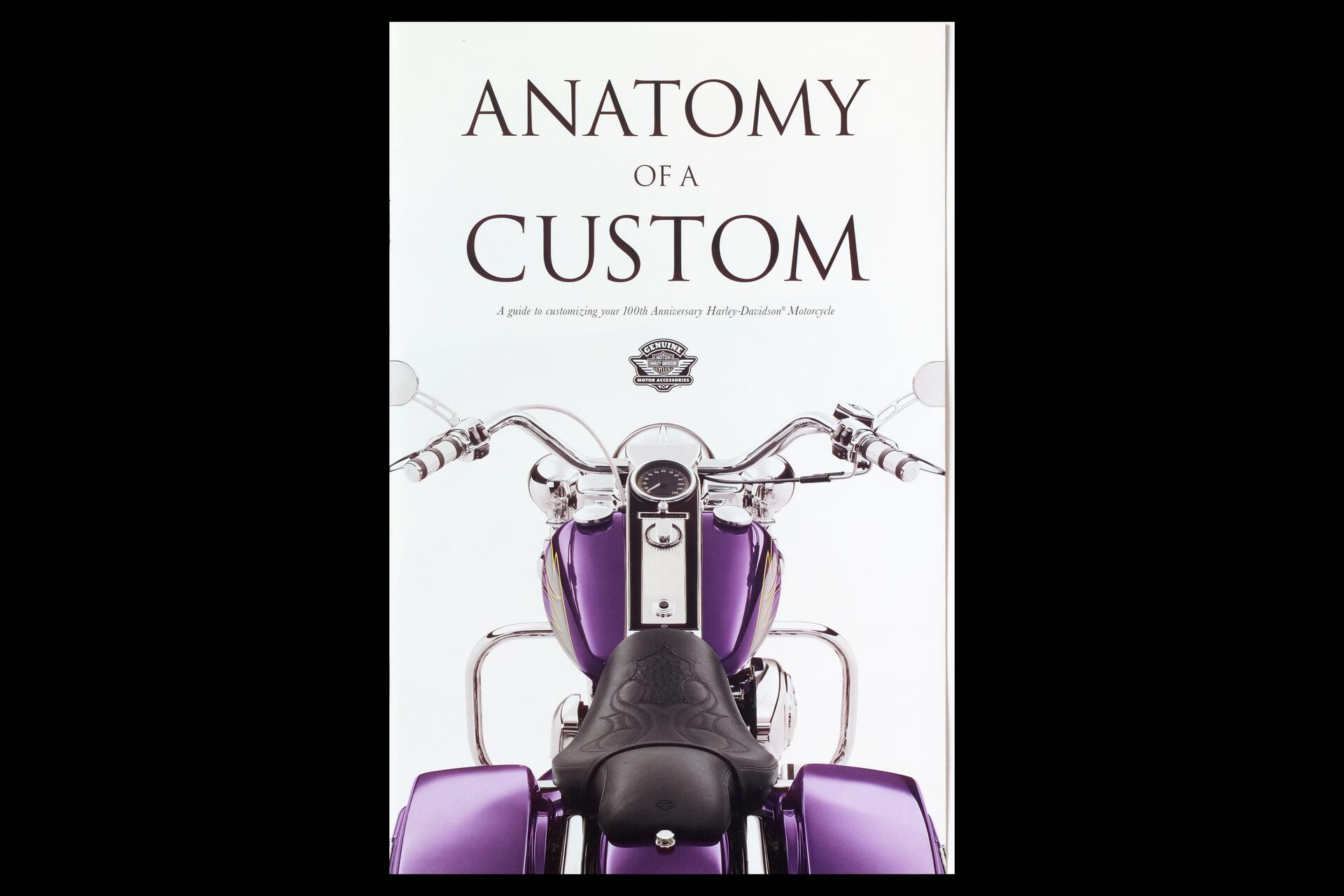 Front cover of a book featuring a customized Harley-Davidson motorcycle with purple detailing, viewed from the seat toward the handlebars. Logo and text about customizing the motorcycle are displayed above.