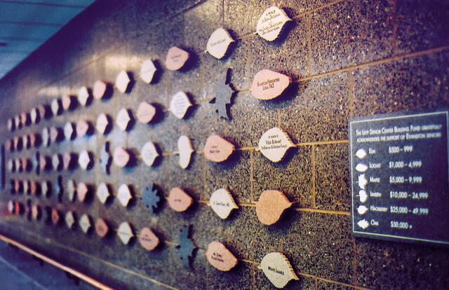 A wall display of donor plaques shaped like leaves and other forms, each with names and amounts. A plaque to the right lists donation tiers from Eel to Orca.