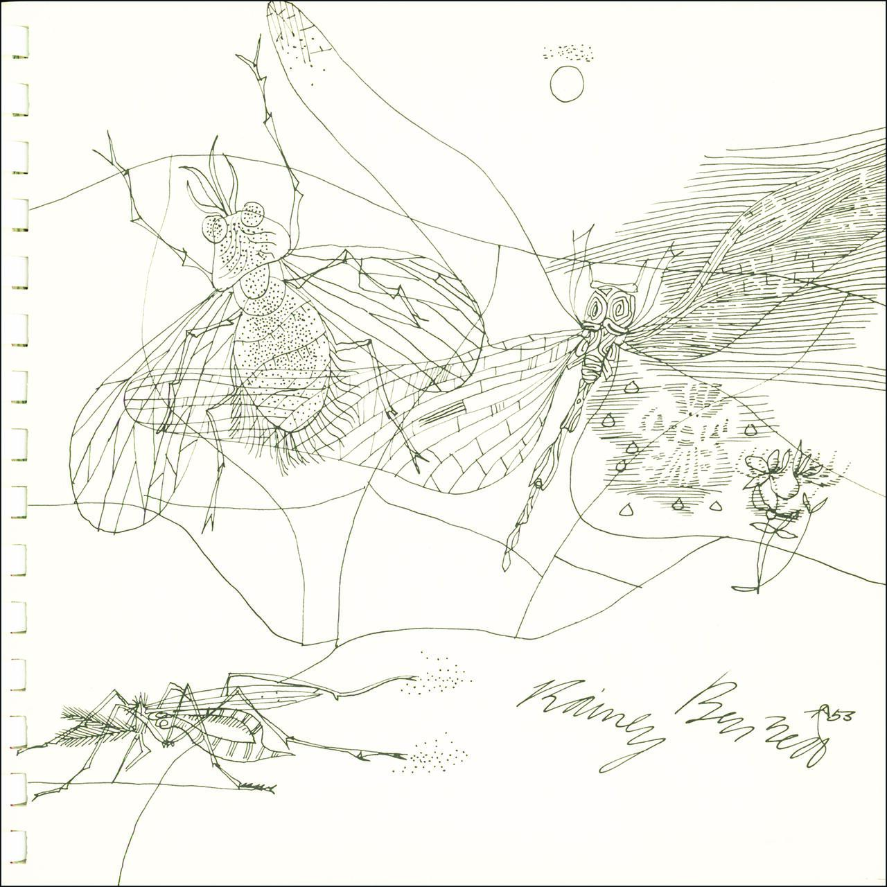 Abstract drawing of three insects, including a fly with detailed wings, an intricate dragonfly, and a small ant. The artwork features fine lines and geometric designs, with a simple, minimalist background and a signature at the bottom.