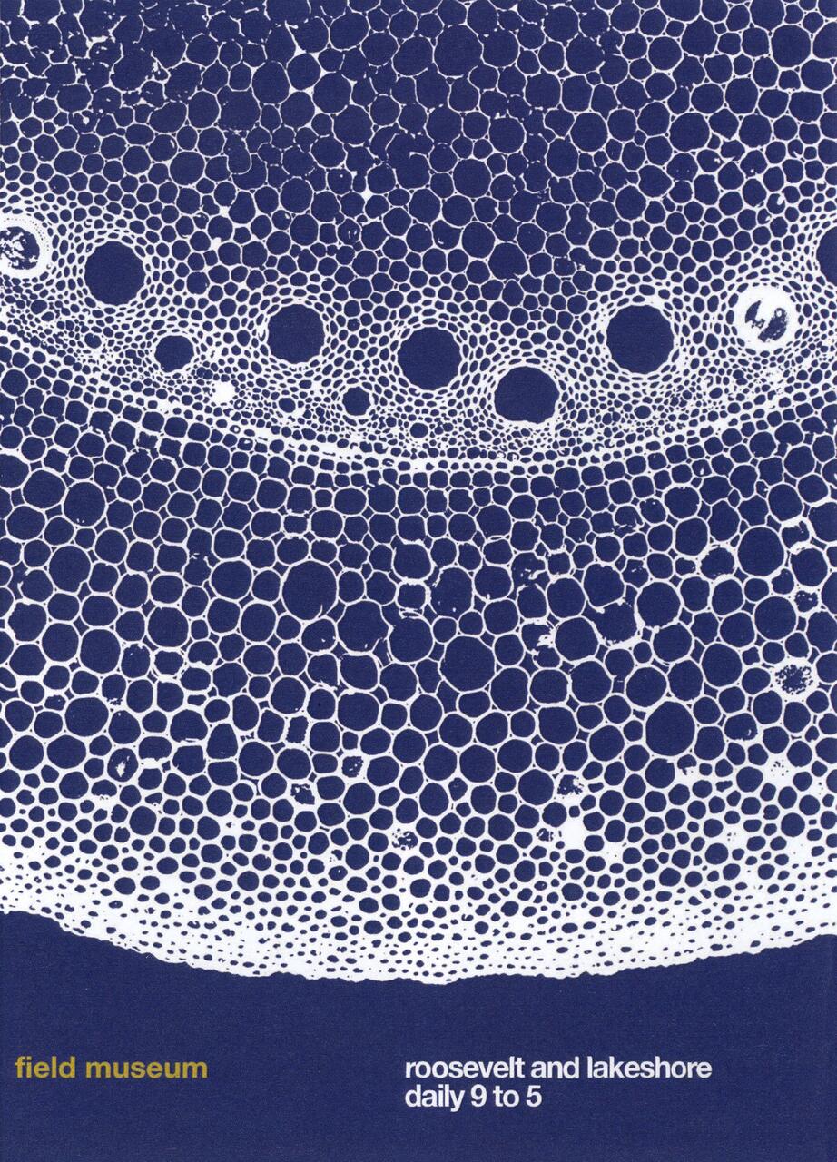 Abstract design of white circles on a blue background, resembling bubbles or cells, with text at the bottom.