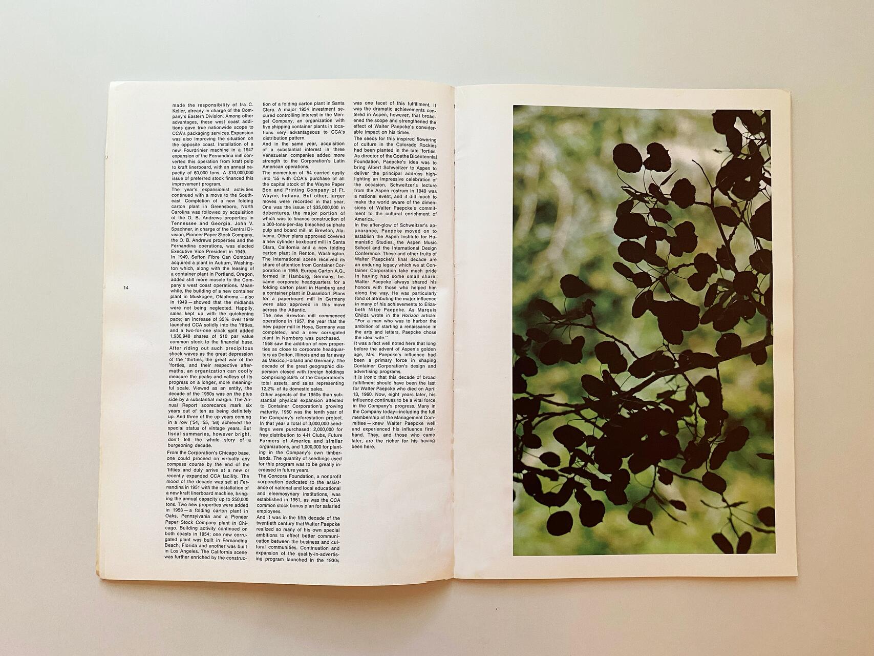 Open book with a page of dense text on the left and a photograph of dark silhouetted leaves against a softly blurred green background on the right.