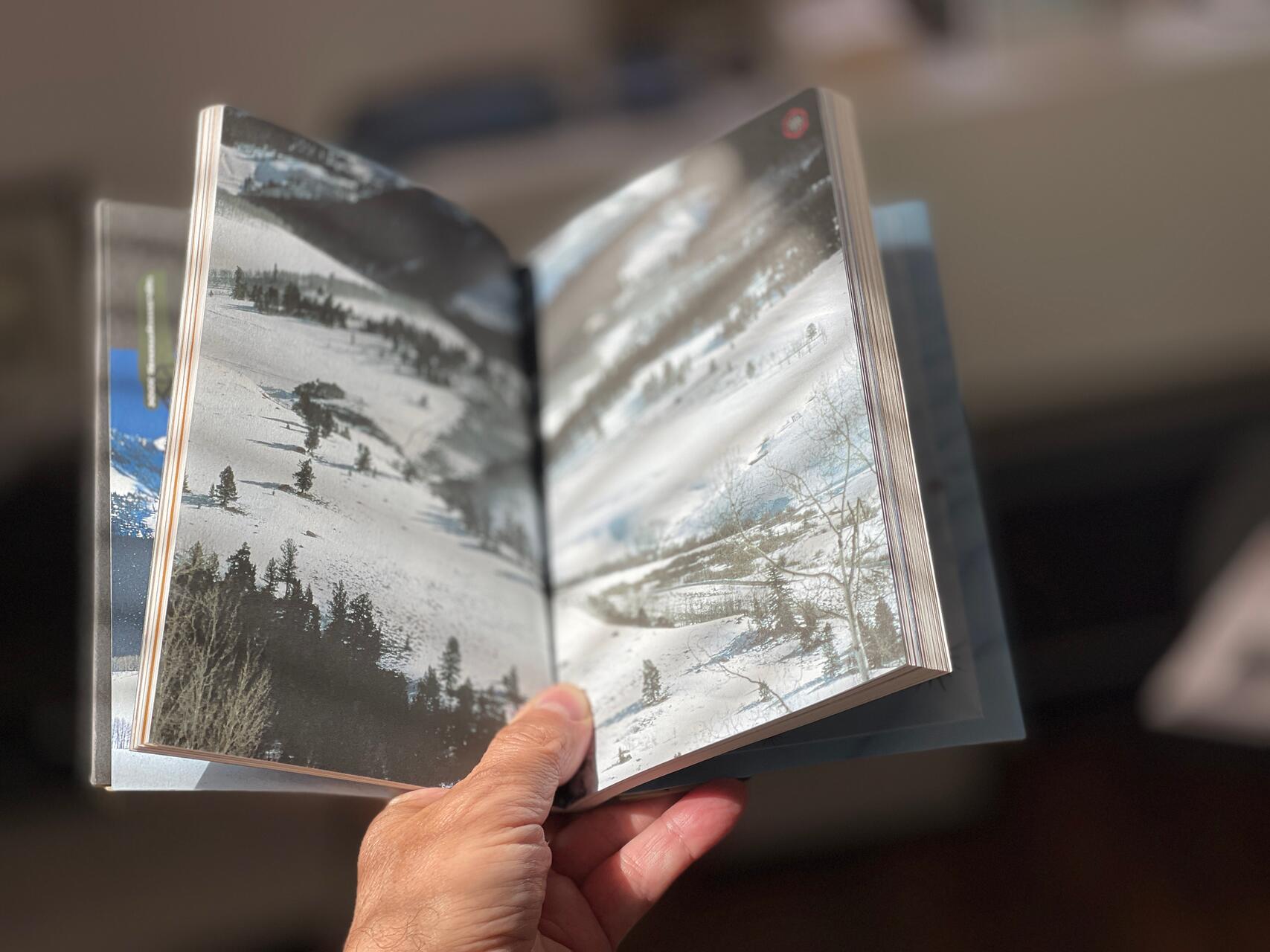 Open book held by a hand, showing pages with photographs of snowy landscapes and trees. The background is softly blurred, creating a warm ambiance.