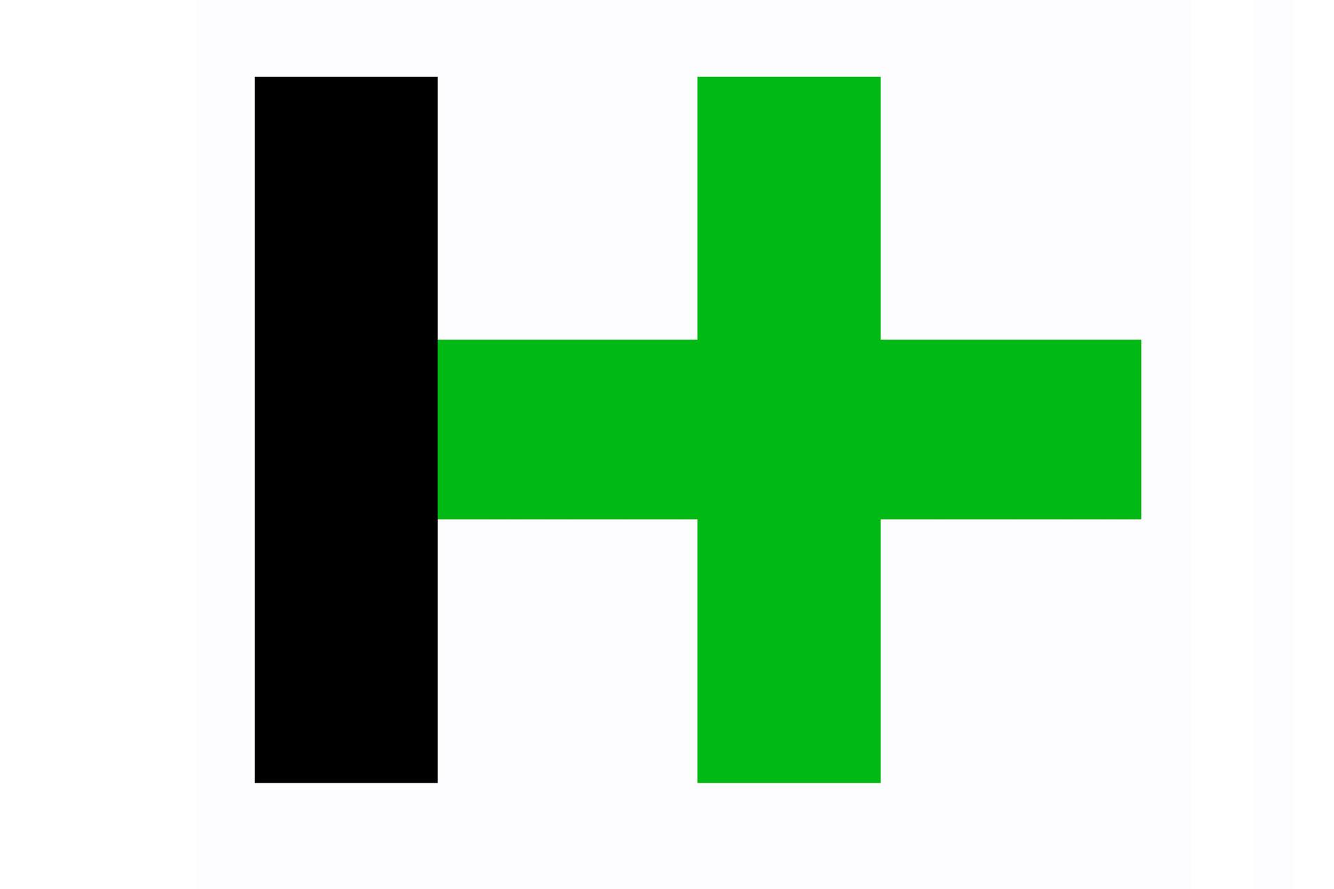 Black vertical rectangle next to a green cross against a white background.
