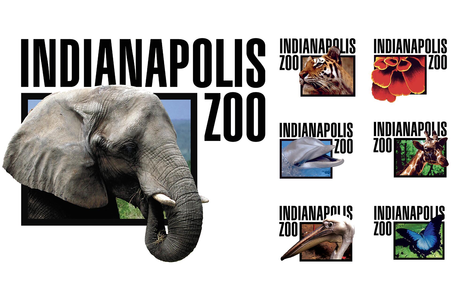 Indianapolis Zoo logos with images of an elephant, tiger, flower, dolphin, giraffe, pelican, and butterfly.