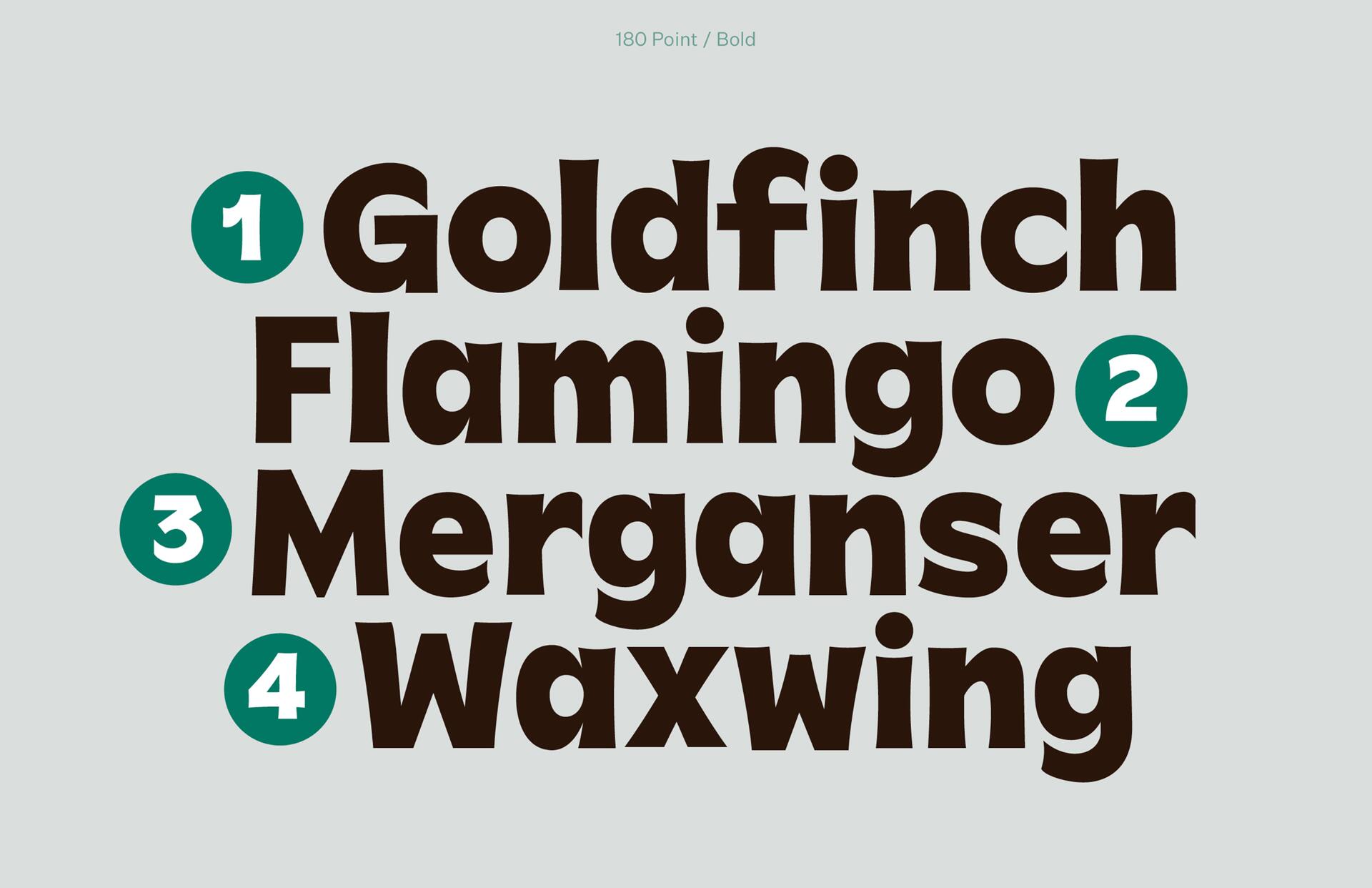 Bold, black text lists bird names: 1. Goldfinch, 2. Flamingo, 3. Merganser, 4. Waxwing. Numerals in teal circles. Light gray background.