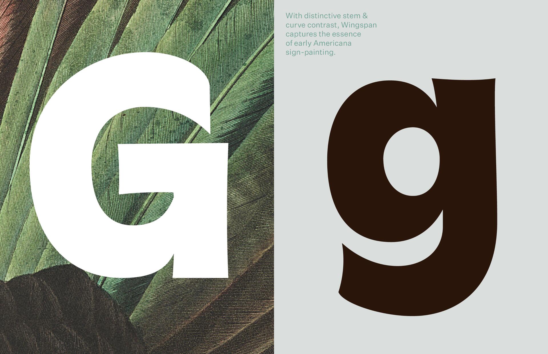 Large white uppercase "G" on a feather background and a large black lowercase "g" on a gray background, showcasing the typeface Wingspan with distinct curves and stems.