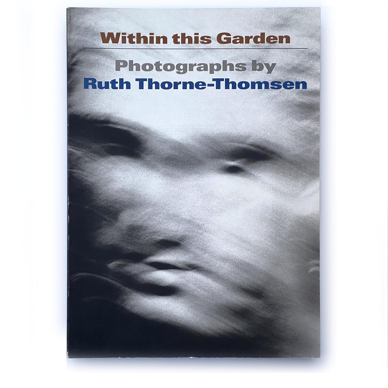 Blurred abstract photograph resembling facial features with swirling light and shadow.