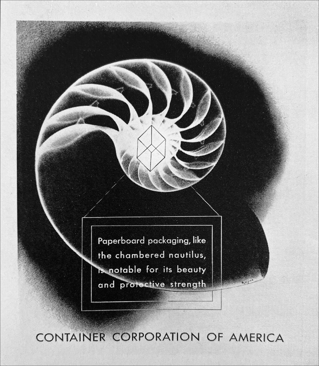 A black and white graphic of a nautilus shell with a geometric design overlay. Text is centered within the shell, and "Container Corporation of America" is printed at the bottom.