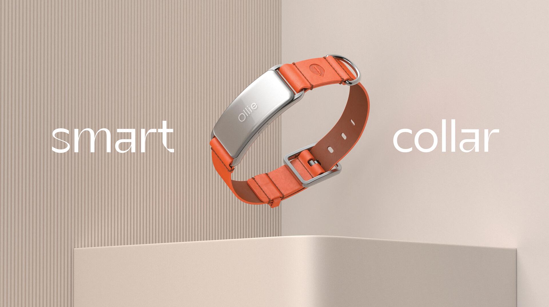 A sleek, modern smart collar with an orange leather strap and metallic silver buckle hovers against a neutral background.