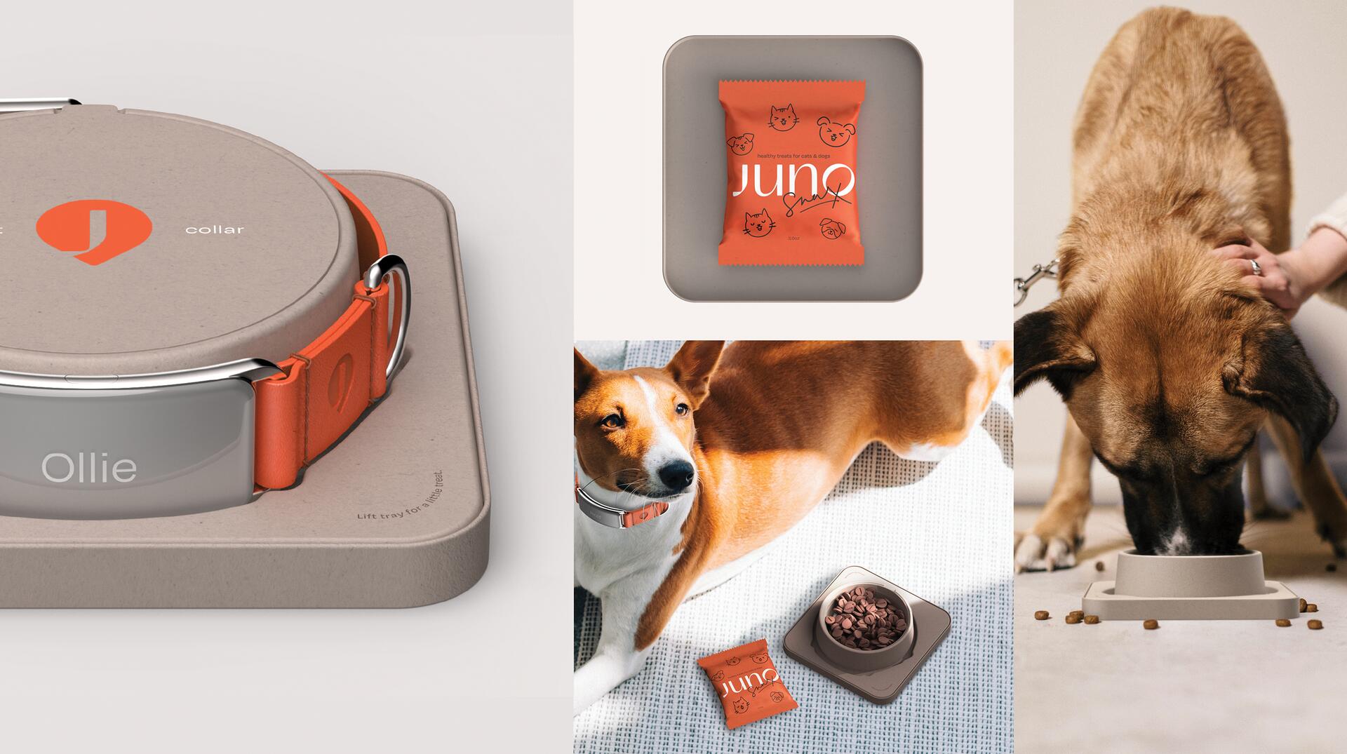 Pet care products including a sleek gray collar with an orange strap, a packet of pet treats labeled "juno," a dog wearing the collar lounging on a mat, and another dog eating from a bowl.