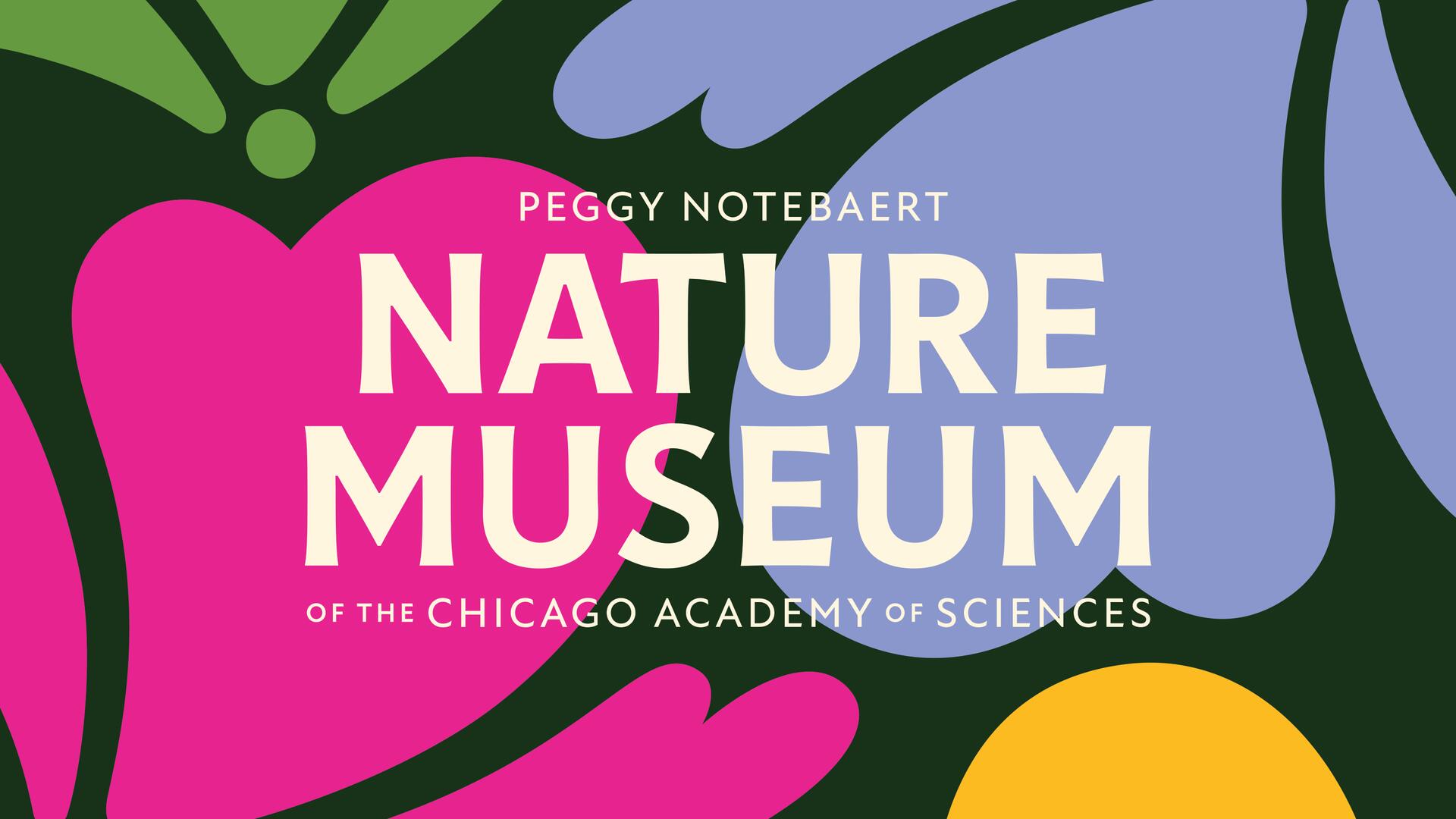 Peggy Notebaert Nature Museum logo with colorful abstract shapes in pink, green, purple, and yellow on a dark green background.