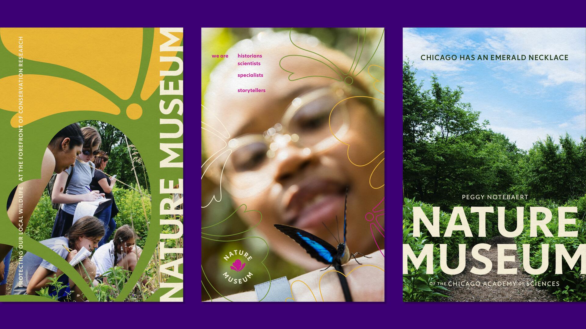Three posters representing the Nature Museum. The first shows children studying plants. The second features a close-up of a person with a butterfly on their hand. The third displays a forest path under a blue sky.