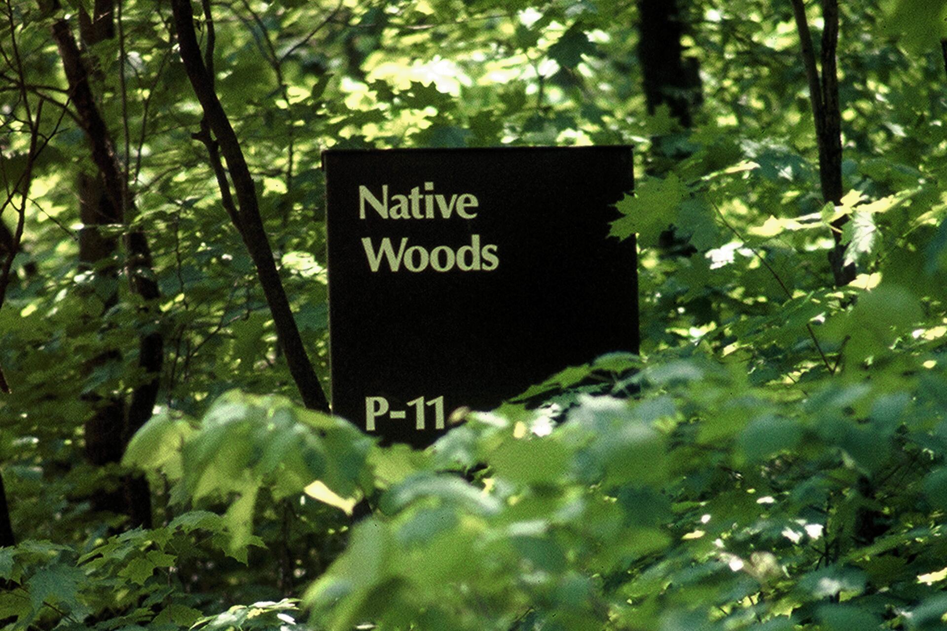 Sign labeled "Native Woods P-11" surrounded by dense green foliage in a forest setting.