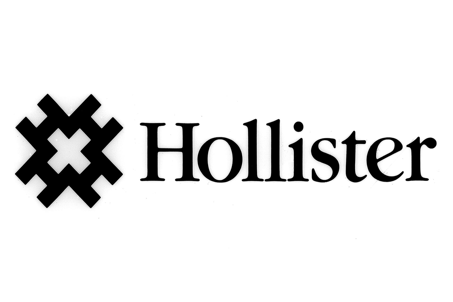 Hollister logo with a geometric black symbol next to the text.