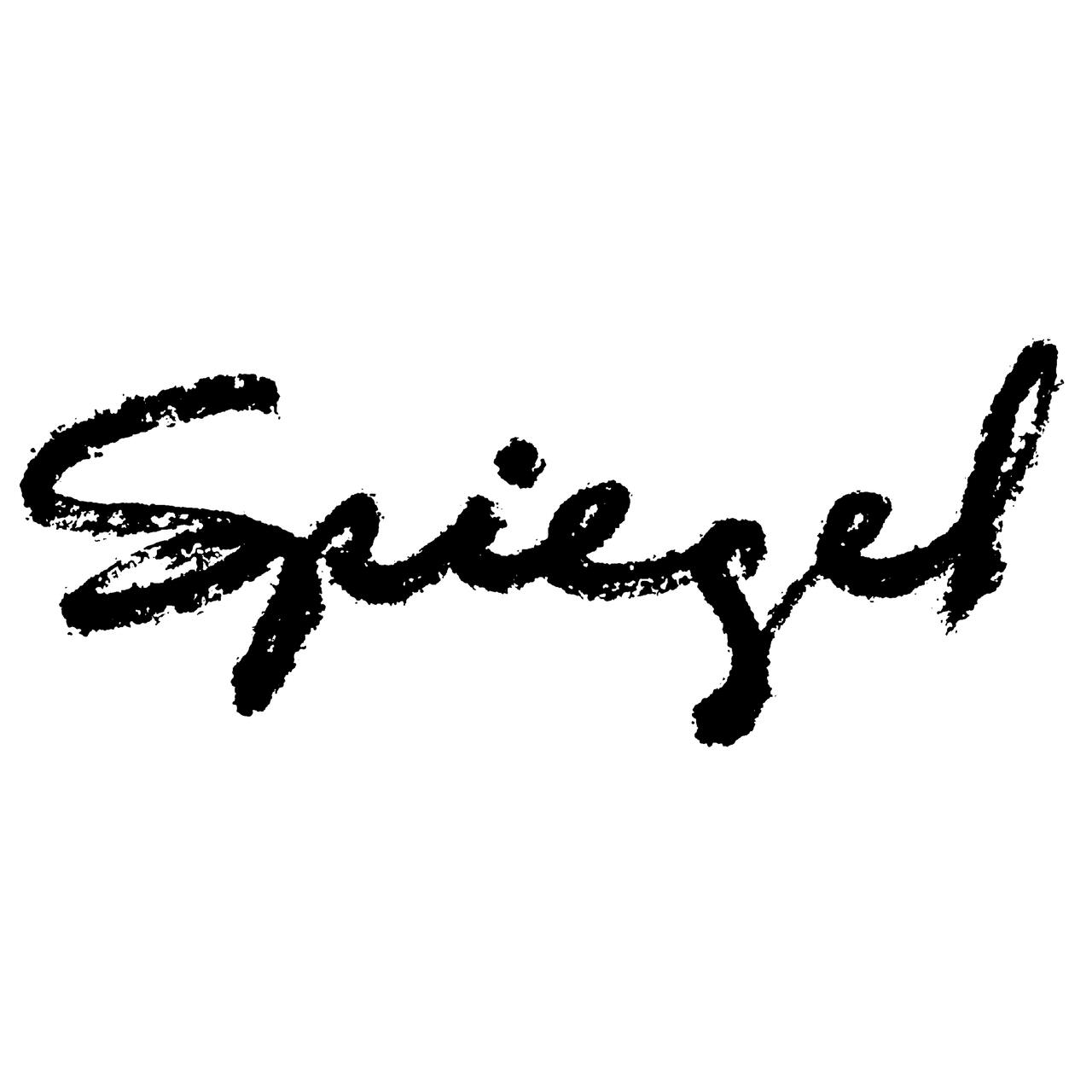 "Spiegel" written in black cursive on a white background.