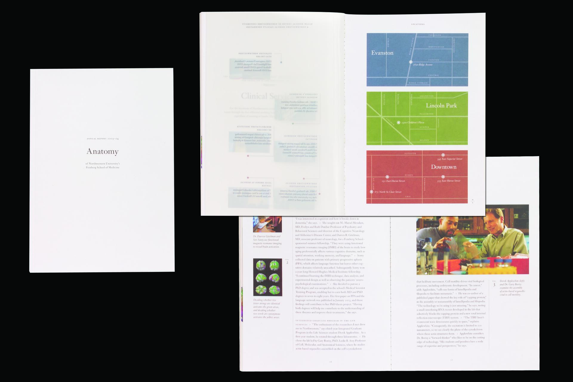 Three pages of a report titled "Anatomy" from Northwestern University's Feinberg School of Medicine. One page has labeled maps in blue, green, and red sections. Another shows text and an image of two people in a lab setting.