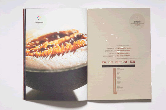 Open book with a close-up photo of a cantaloupe on the left page and color names with numbers listed on the right page, featuring a minimalist design and neutral background.
