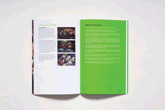 Open book with two pages; left page contains text and three small images. The right page is predominantly green with white text titled "2005 Financial Summary."