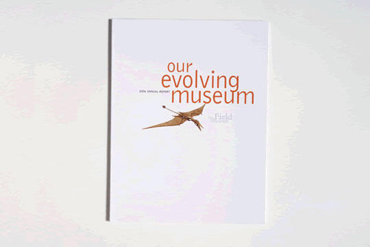 Cover of a report titled "Our Evolving Museum," featuring a flying pterosaur illustration on a plain white background.