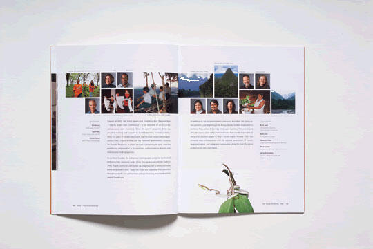 Open magazine spread with text columns and small photos at the top, including people and landscapes. A plant branch with green leaves is at the bottom center. Subtle shades of white and green.