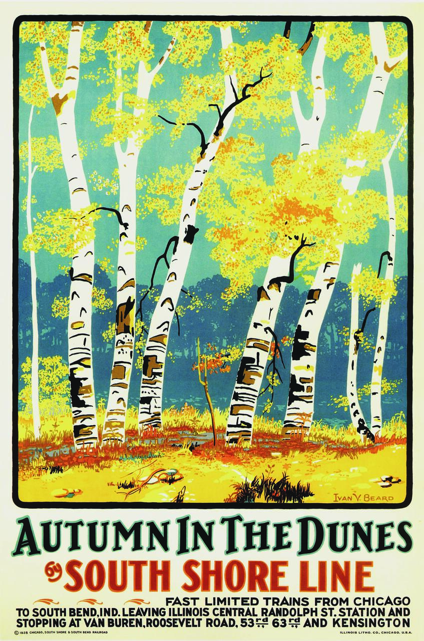 Vintage poster of white bark birch trees with golden leaves against a teal sky, promoting autumn travel via the South Shore Line.