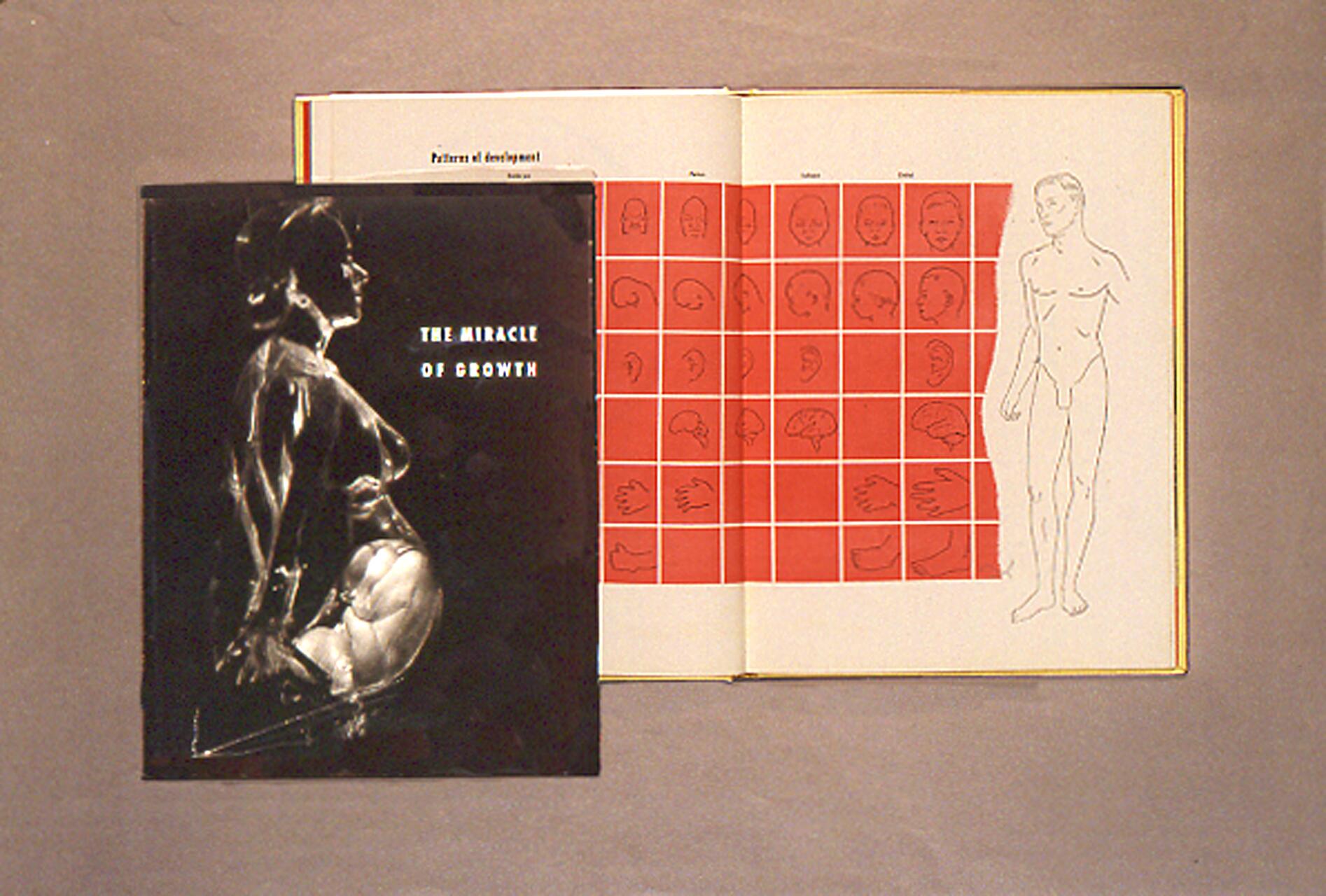 A monochrome photograph of a pregnant woman labeled "The Miracle of Growth" covers part of an open book. The book features red grid illustrations of human development stages and a sketch of an adult male figure.