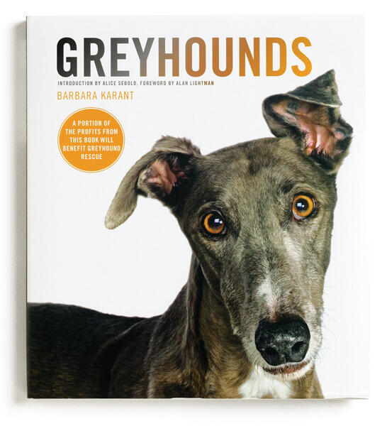 Cover of the book "Greyhounds" featuring a close-up photo of a greyhound dog looking directly at the viewer, with a backdrop of white. Text includes the title and author's name.