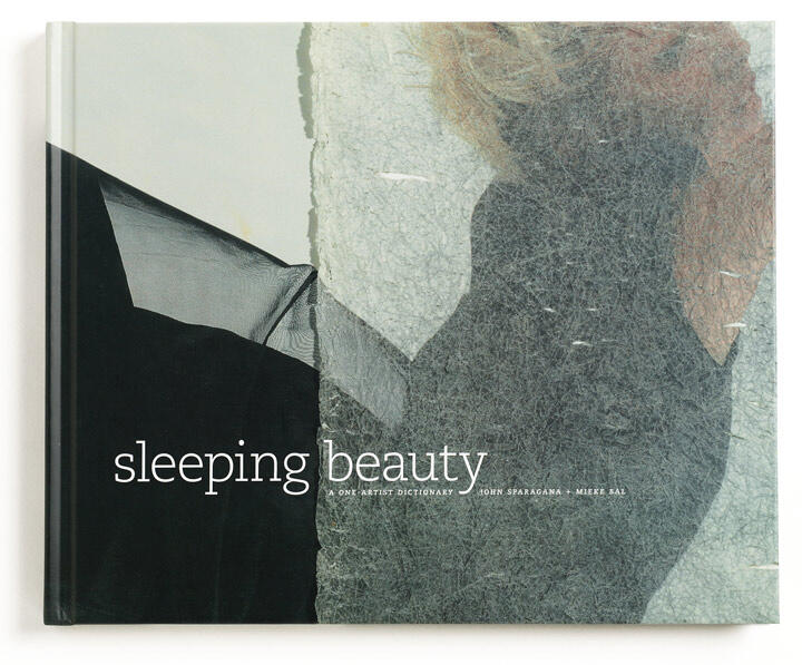 Book cover titled "sleeping beauty" features abstract textures and a silhouette with a mix of light and dark tones.