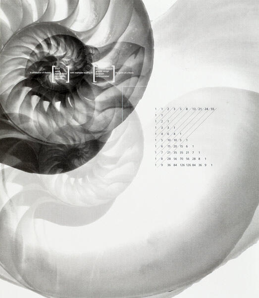 Fibonacci spiral overlapping with a nautilus shell, displaying number sequences in a grayscale artistic rendering.